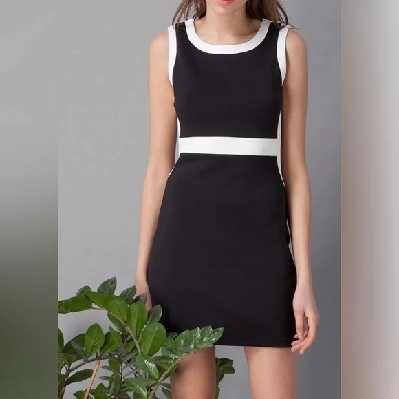 Talbots Little Black Dress w/ White Trim Mini Flattering Stretch EUC Size: 4 - Picture 3 of 9